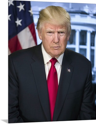 President Donald Trump