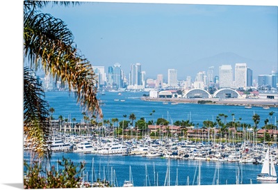 San Diego Skyline and Marina, California - Panoramic