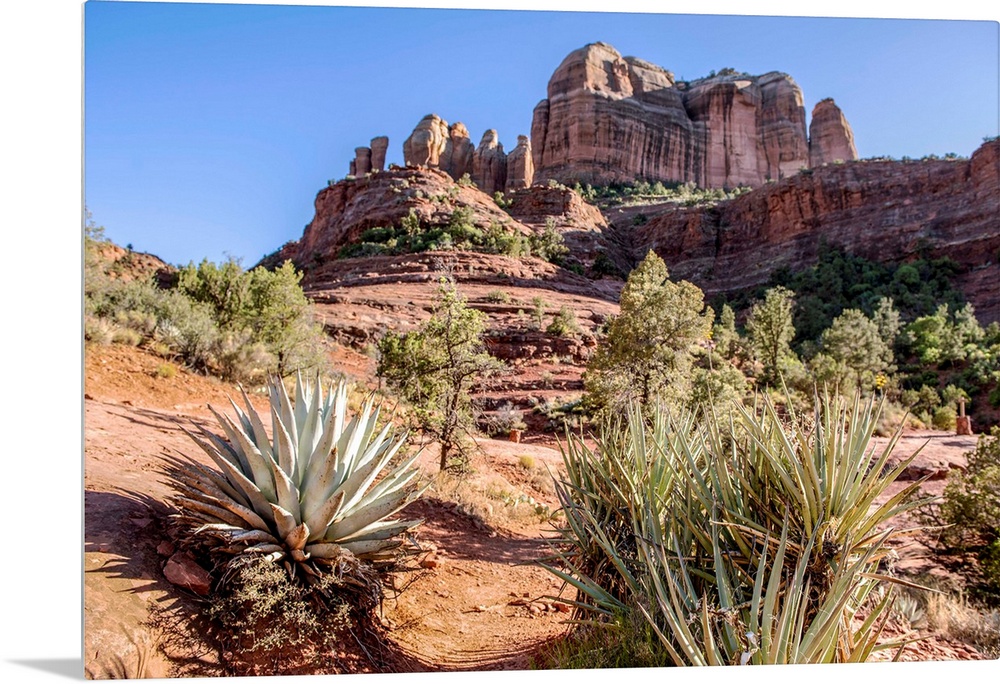 View of Cathedral Rock from Templeton Trail in Sedona, Arizona.