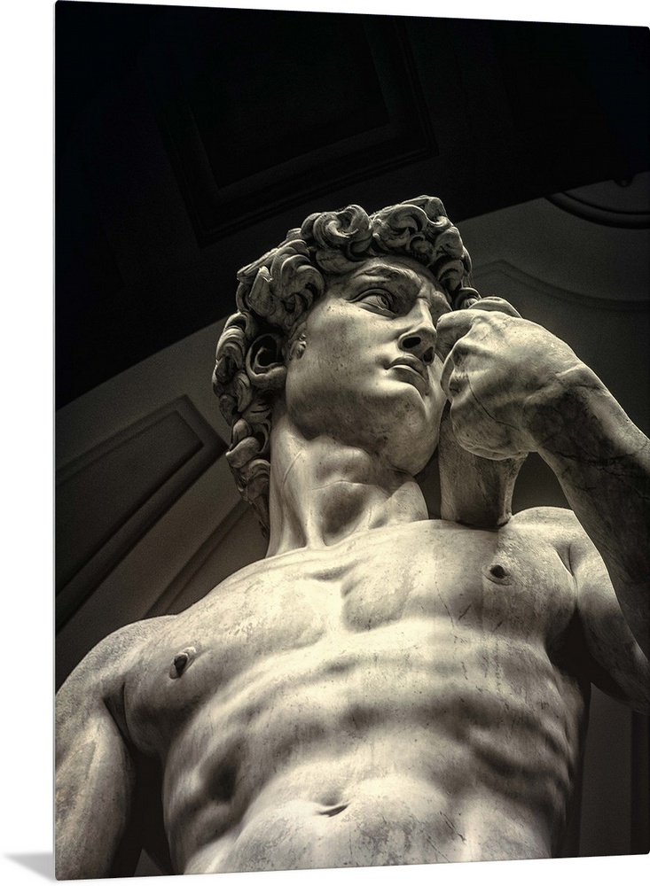 MichaelAngelos sculpture of David in Florence, Italy