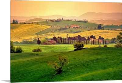 Rolling fields, Tuscany, Italy