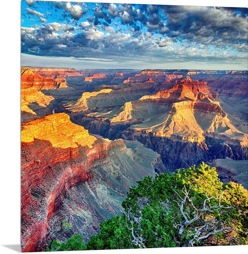 Morning Light At Grand Canyon