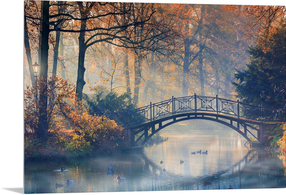 Old bridge in misty park at autumn.