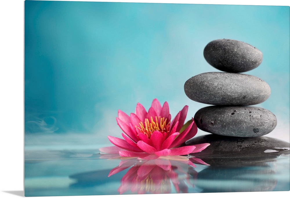 Spa still life with water lily and zen stone in a serenity pool.