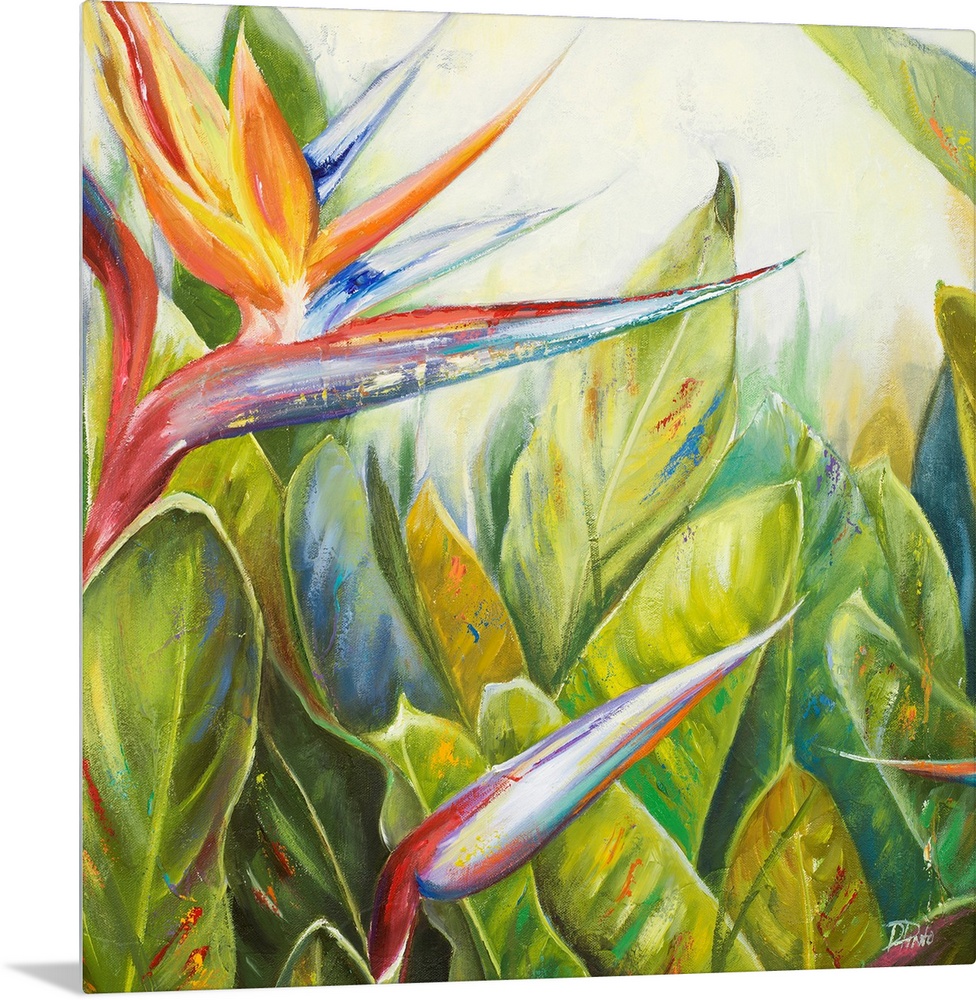 Square, giant floral painting of two bird of paradise flowers, one bloomed, amongst a large bunch of big green leaves exte...