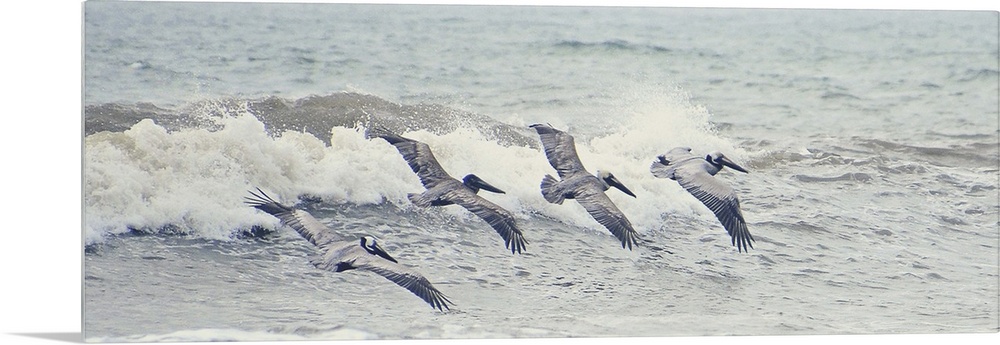 A photograph of four pelicans flying in a line over ocean waves.