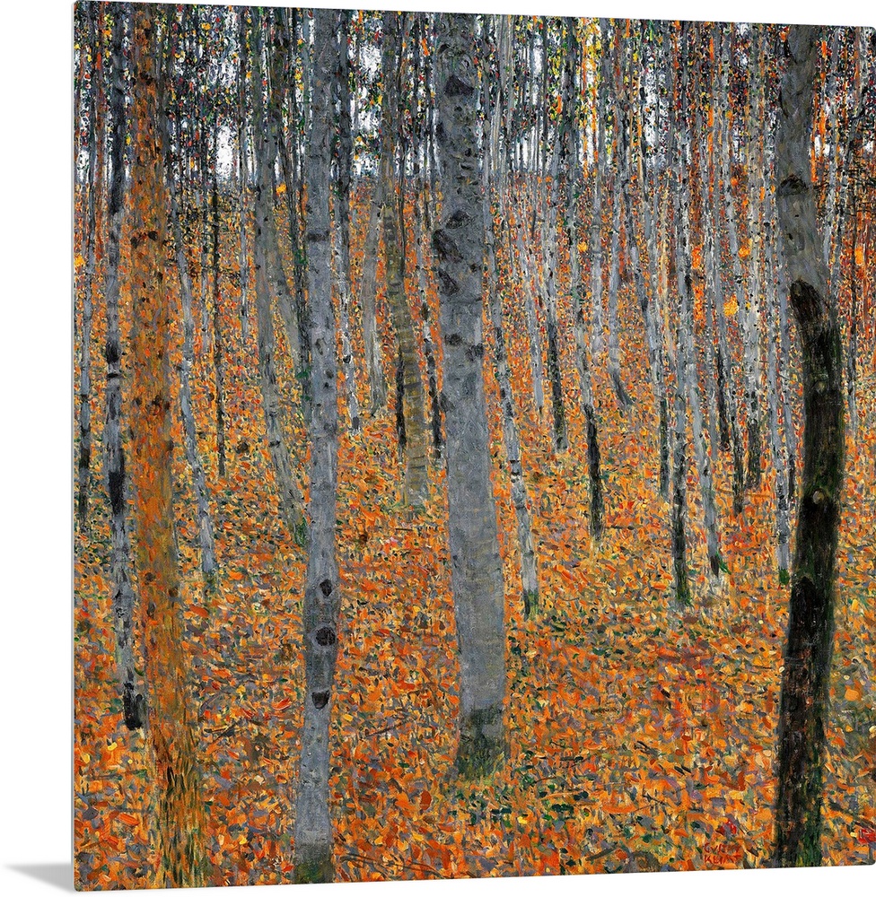 Klimt, Beechwood Forest. 'Beechwood Forest (Buchenwald).' Oil On Canvas, Gustav Klimt, 1903.