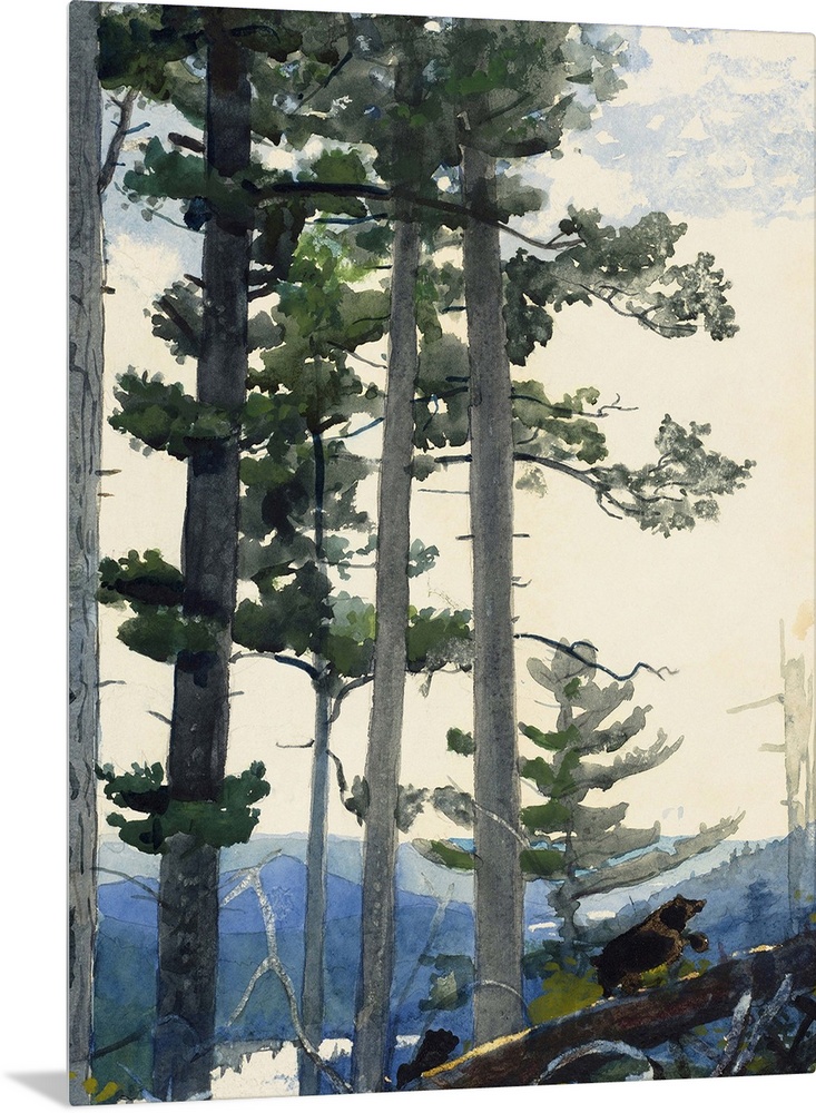 Homer, Old Settlers, 1892. Watercolor On Paper, Winslow Homer, 1892.