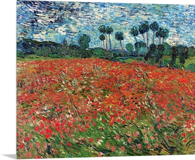 Poppy Field, 1890