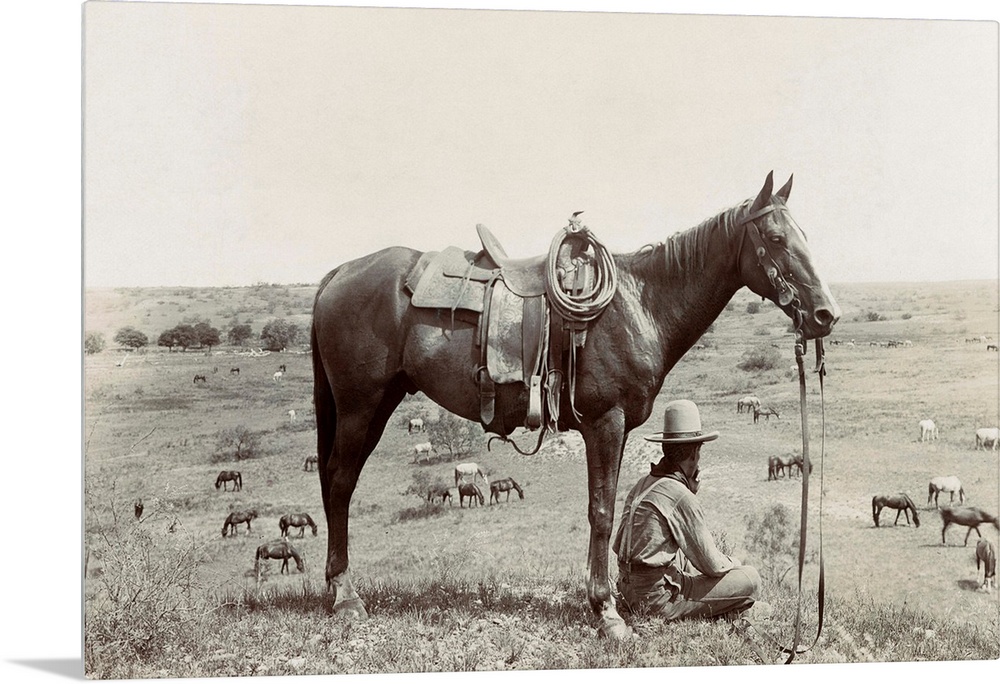 Texas, Cowboy, C1910. A Horse Wrangler Seated Next To His Horse On A Hill And Looking Down At Other Horses Grazing In A Fi...