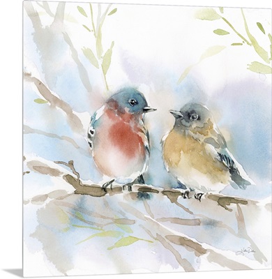 Bluebird Pair In Spring