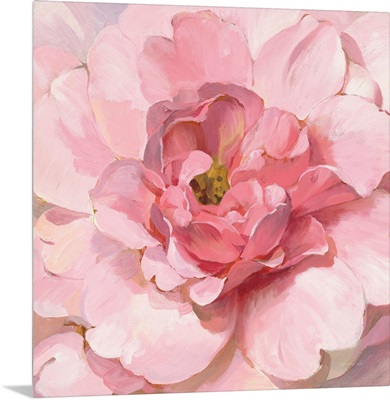Blushing Peony