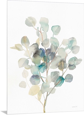Eucalyptus III White
