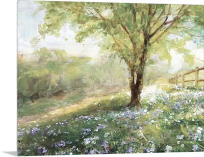 Field Of Bluebells Neutral