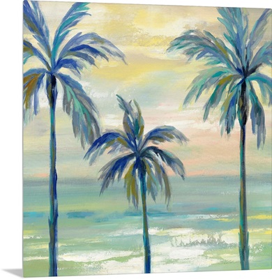 Marine Layer Palms Crop