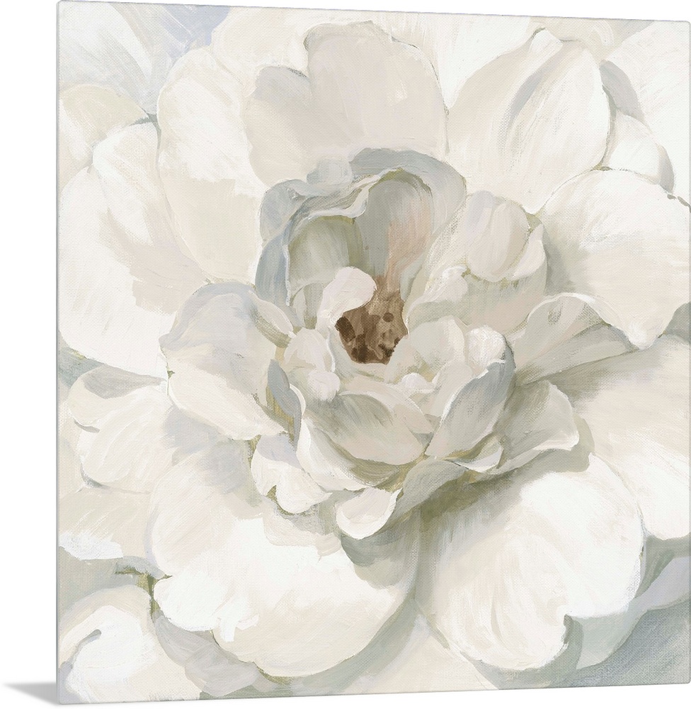 Neutral Peony