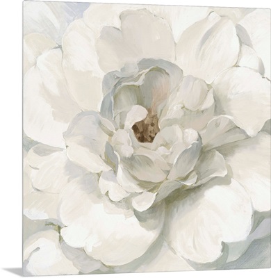 Neutral Peony