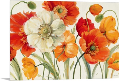 Poppies Melody I