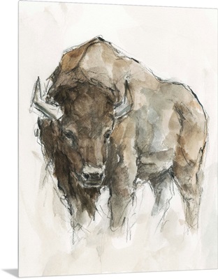 American Buffalo II