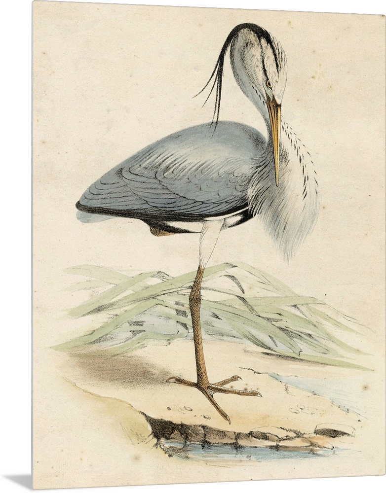 Antique Heron IV