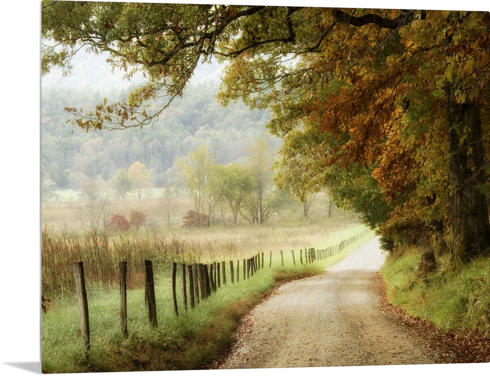 Autumn on a Country Road