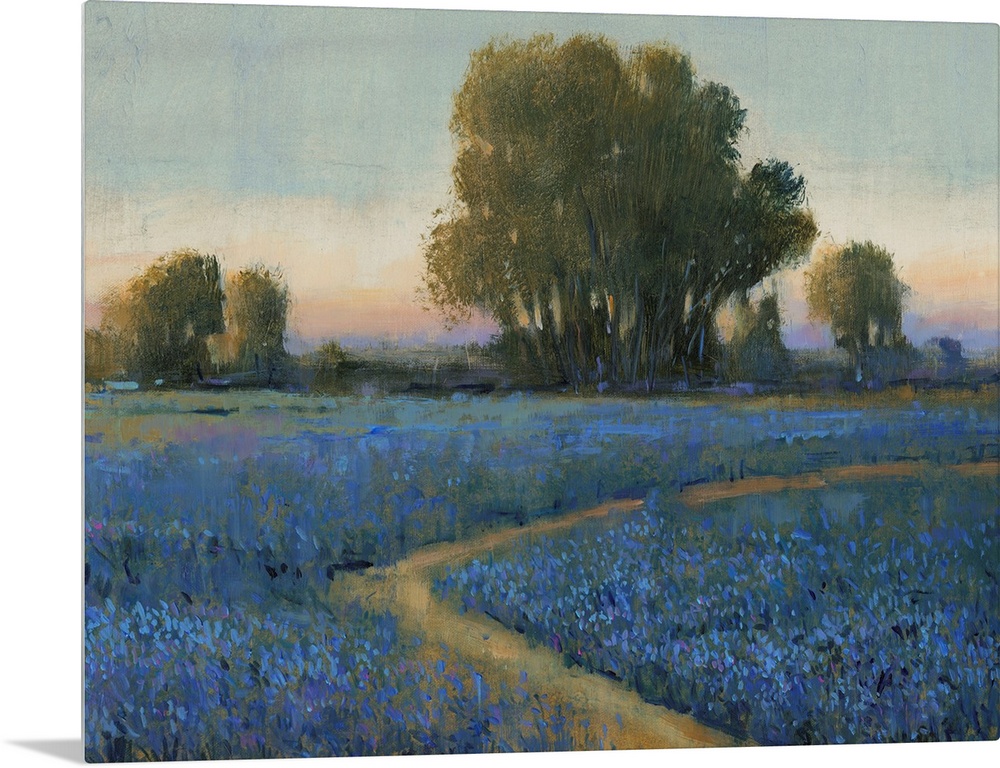 Blue Bonnet Field I