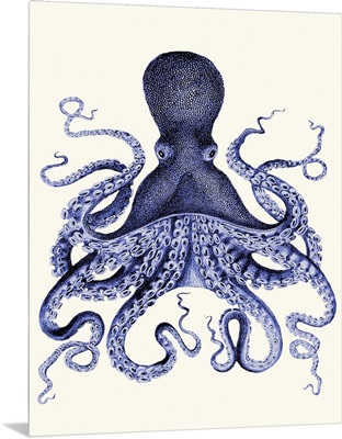 Blue Octopus 3