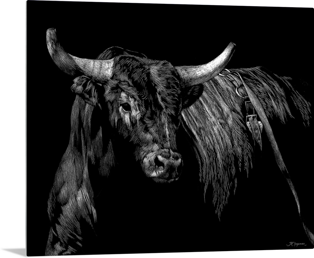 Horizontal artwork on a big wall hanging of a sketched brindle rodeo bull, looking forward, on a solid black background.