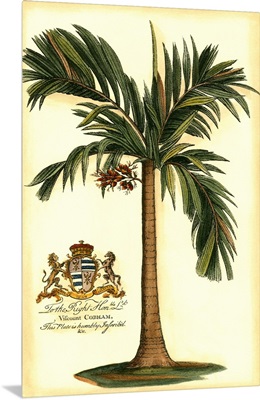 British Colonial Palm I