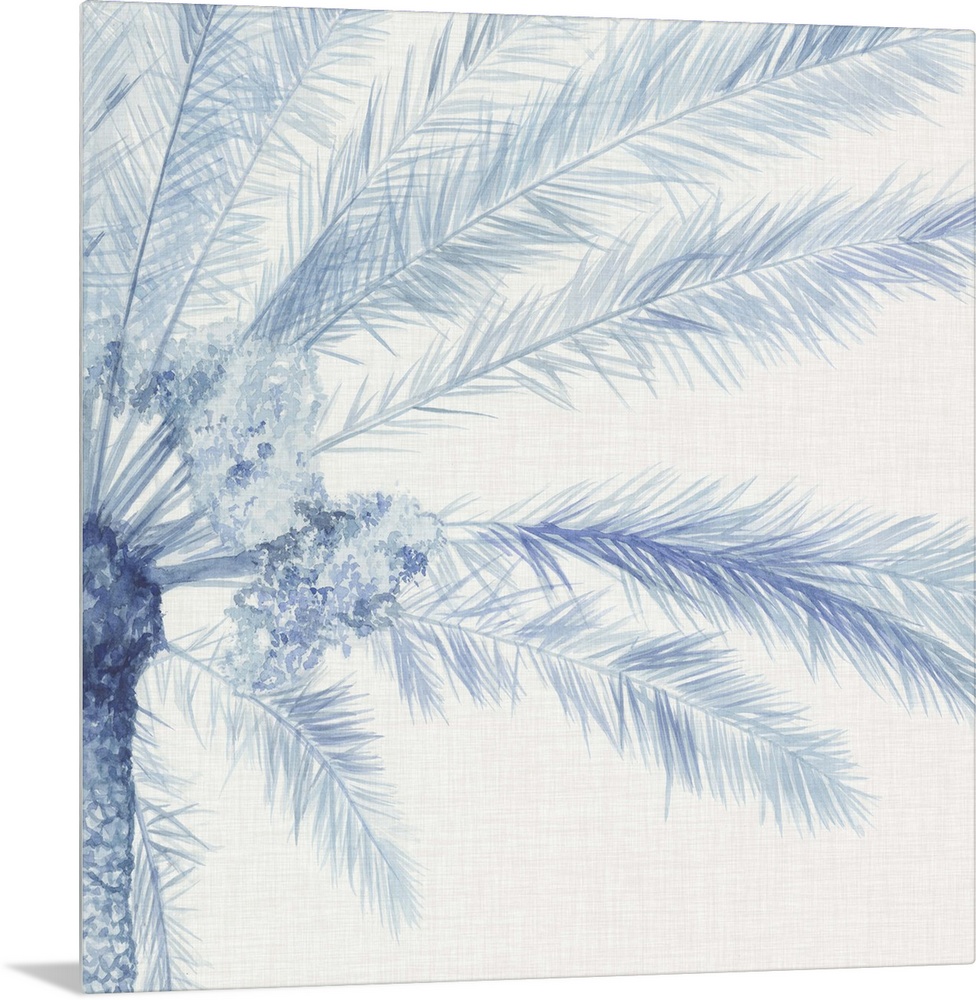 A blue palm split between two panels against a white background.