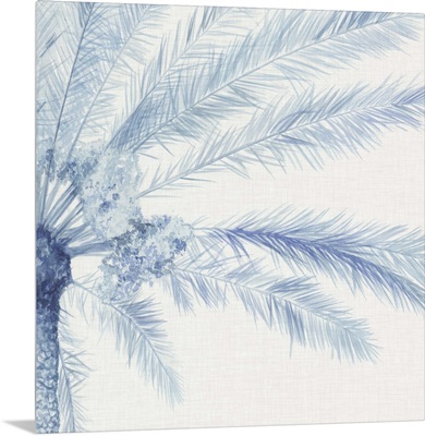 Chambray Palms II