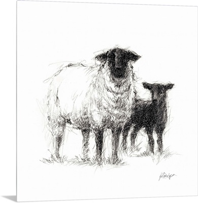 Charcoal Sheep Study II
