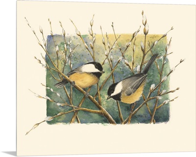 Chickadees and Pussy Willow