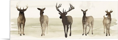 Deer Line II