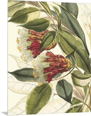 Fantastical Botanical II