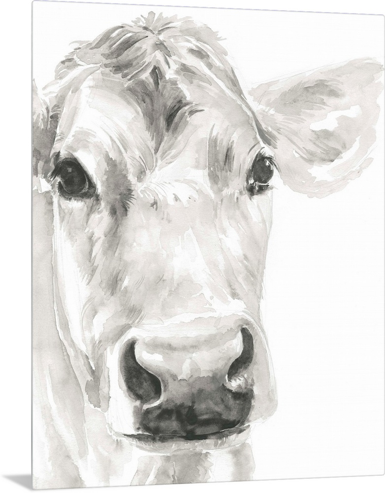 Watercolor portrait of a cow in gray.