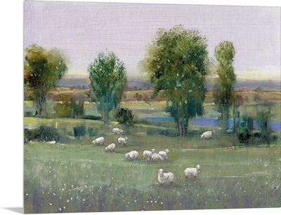 Field of Sheep I