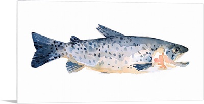 Freckled Trout IV