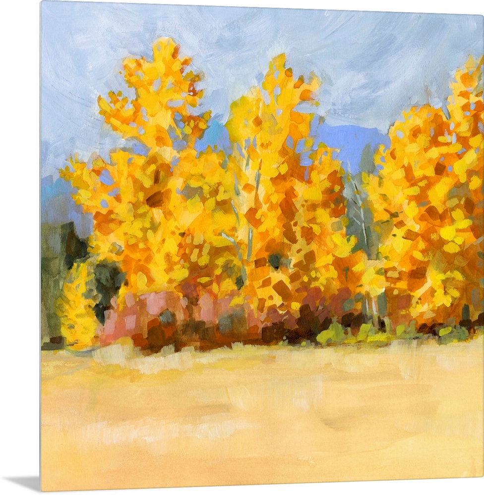 Golden Aspen Trees I