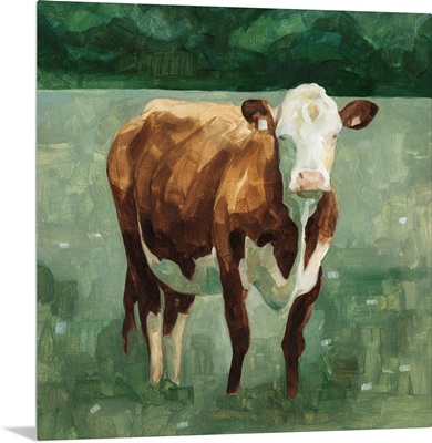 Hereford Cattle I
