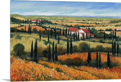 Hills Of Tuscany I