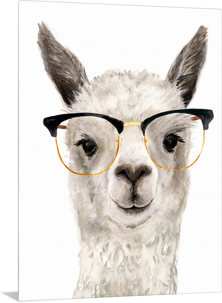 Hip Llama IV