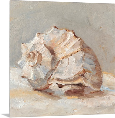 Impressionist Shell Study II