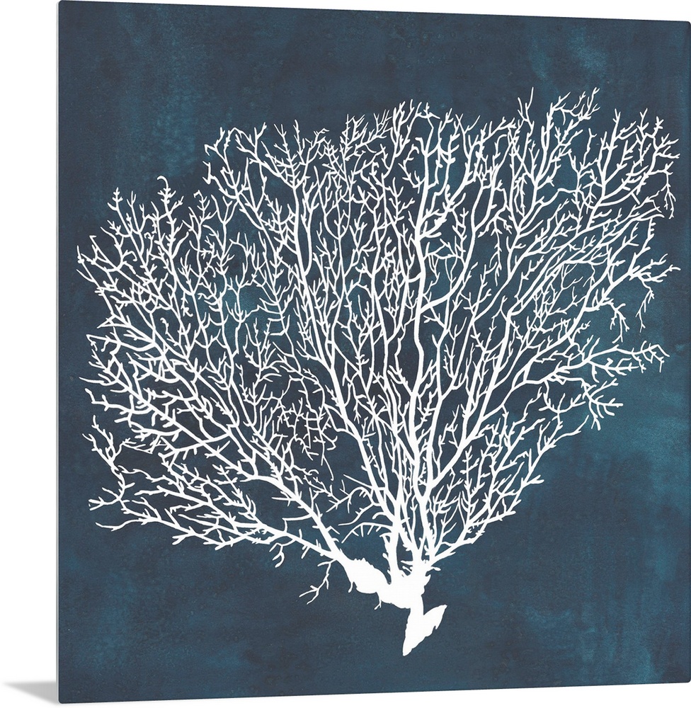 Contemporary nautical themed artwork of a sea fan in white against a dark navy blue background.