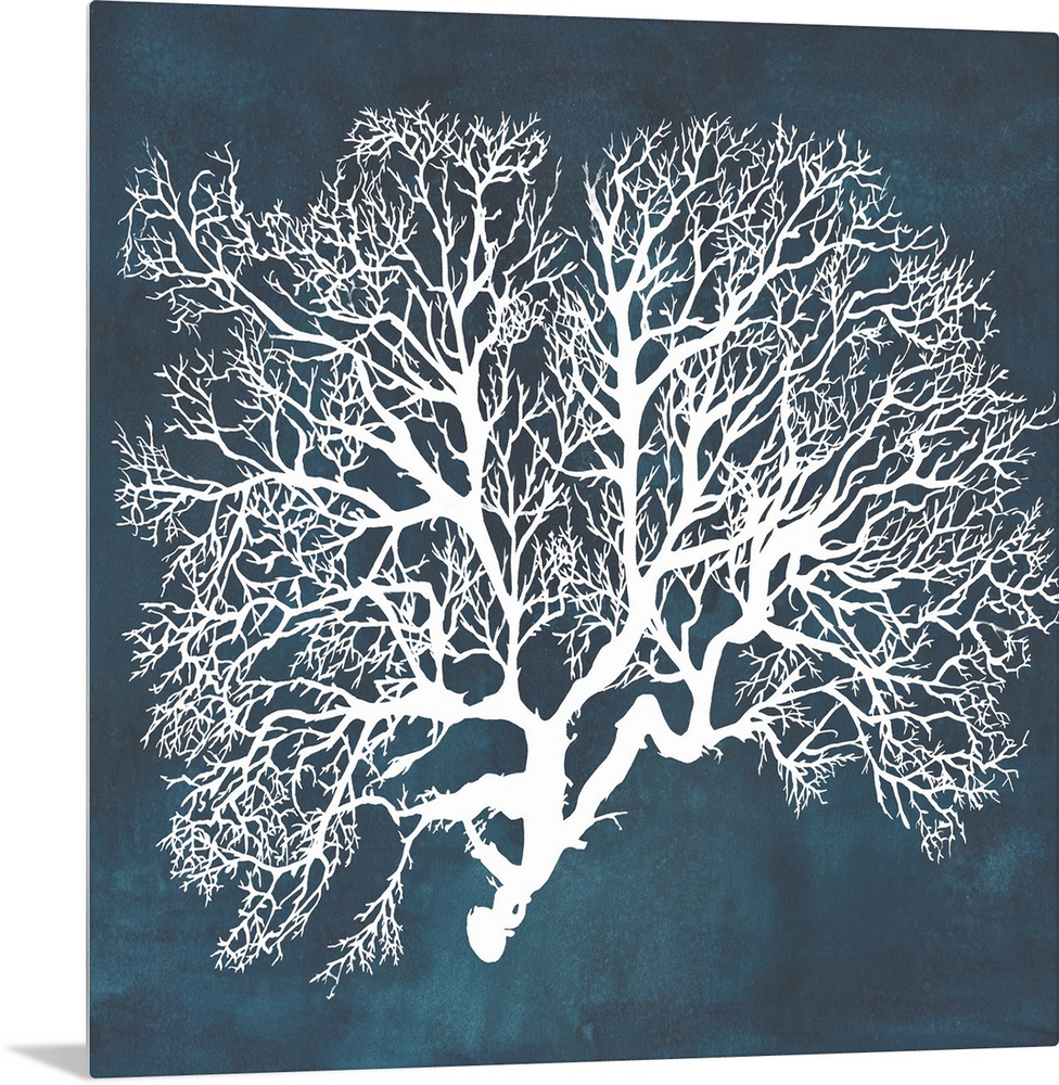 Contemporary nautical themed artwork of a sea fan in white against a dark navy blue background.