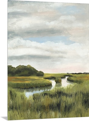 Marsh Landscapes I