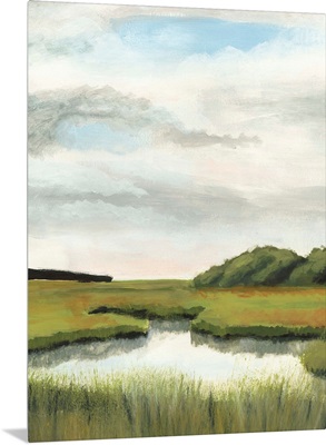 Marsh Landscapes II