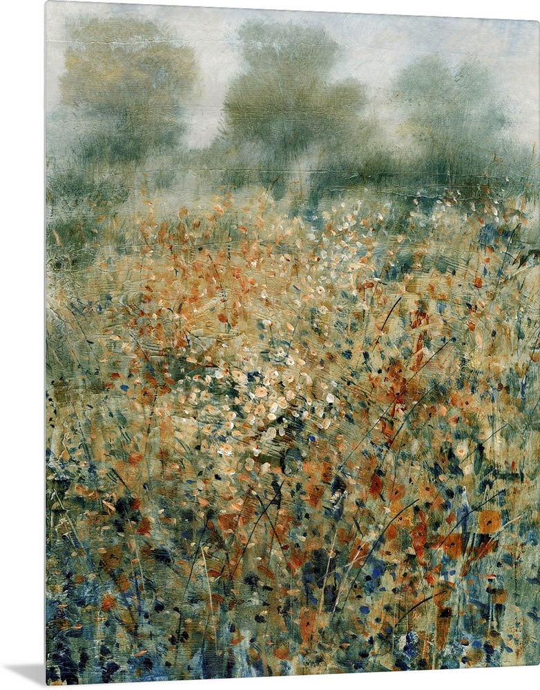 Misty Early Morning II