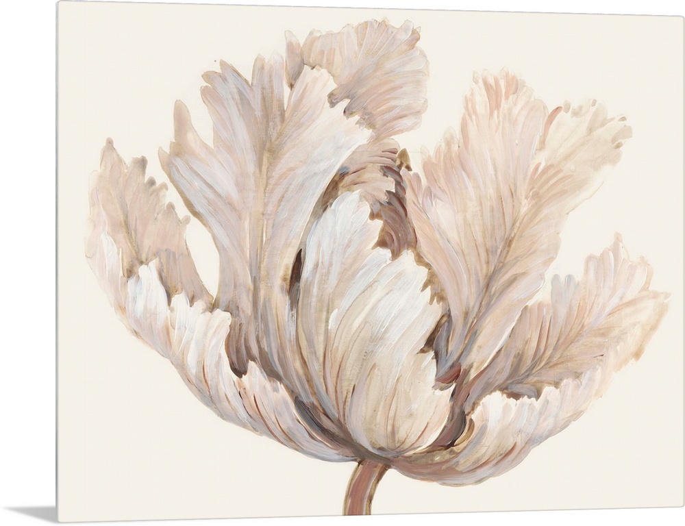 Monochromatic Tulip I