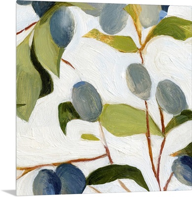 Olives On The Branch I